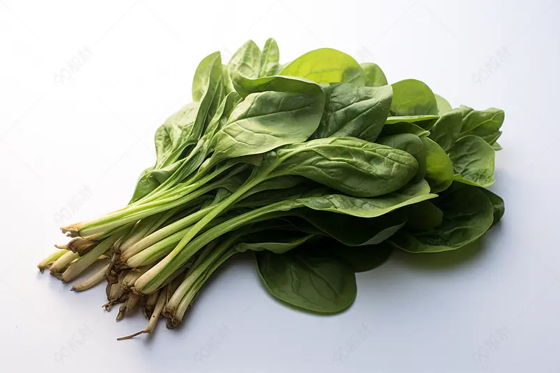 补铁补维生素的一把绿色菠菜摄影实拍