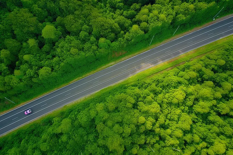 航拍树木环绕的高速公路清晰的摄影图高清的图片拍摄海报设计背景广告设计素材元素绿色树林树木交通咱路线公路