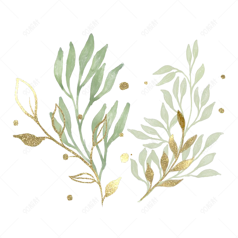 水彩金箔叶子植物装饰