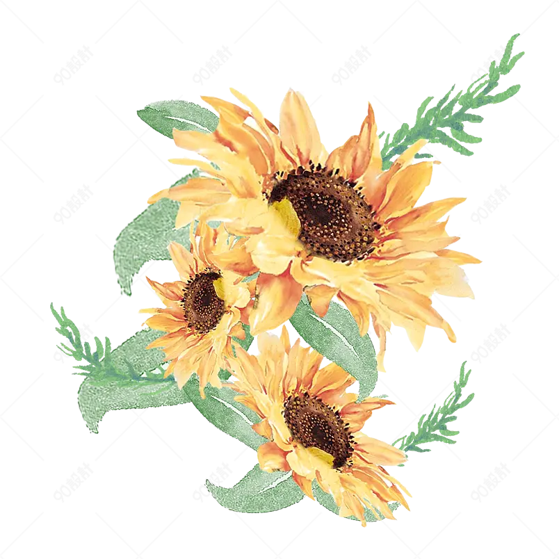 花卉向日葵边框手绘水彩插画元素