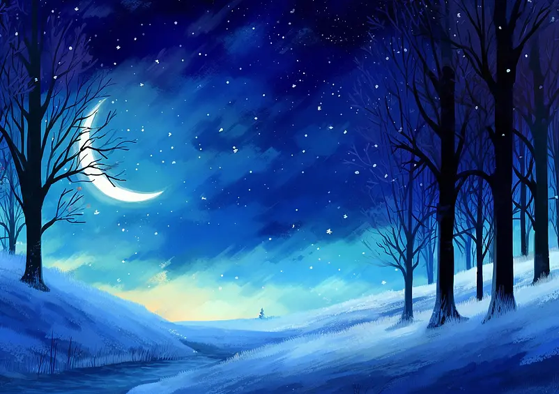 夜晚星空下面是一片宁静的森林插画背景