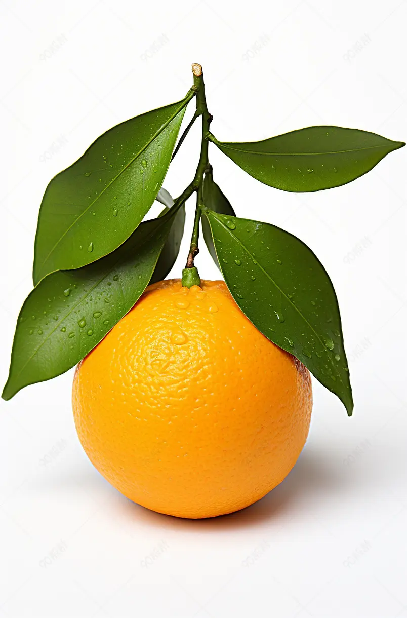 水果橙子静物摄影作品