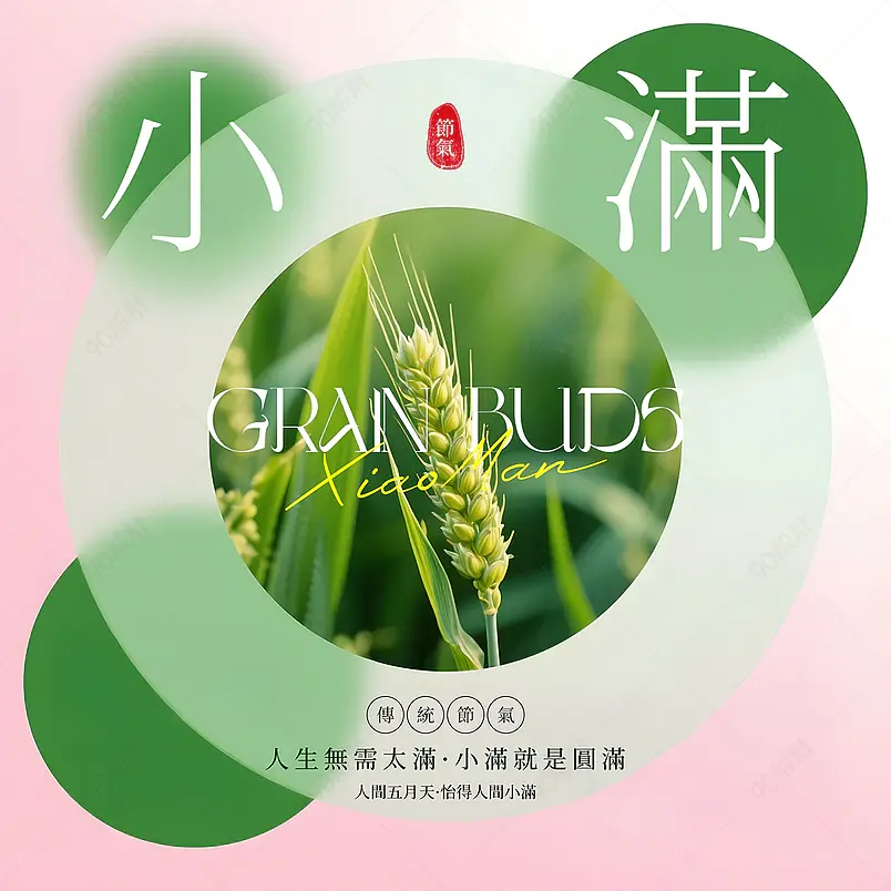 简约色块小麦传统二十四节气小满社交媒体广告