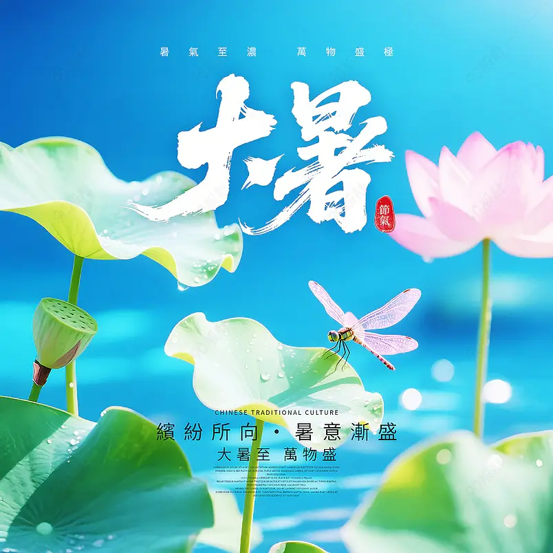 蜻蜓荷叶池塘传统二十四节气大暑社交媒体广告