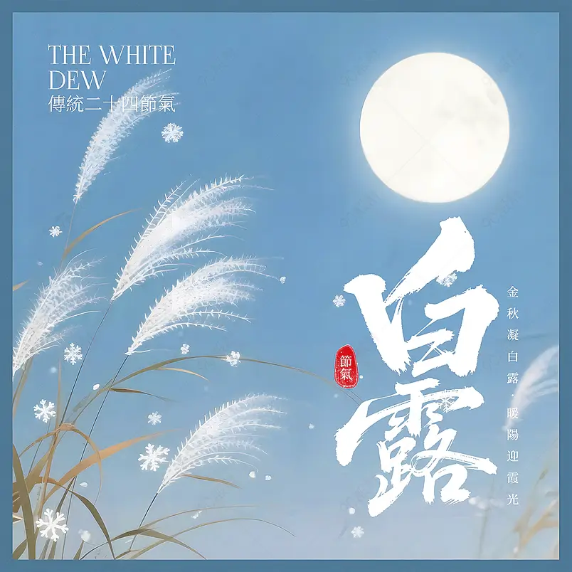 月亮芦苇中国传统节气白露社交媒体广告