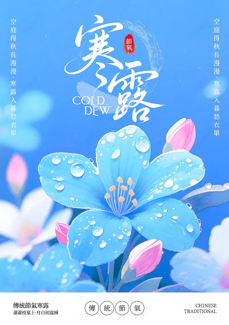 摄影风格鲜花花瓣露水传统二十四节气寒露海报