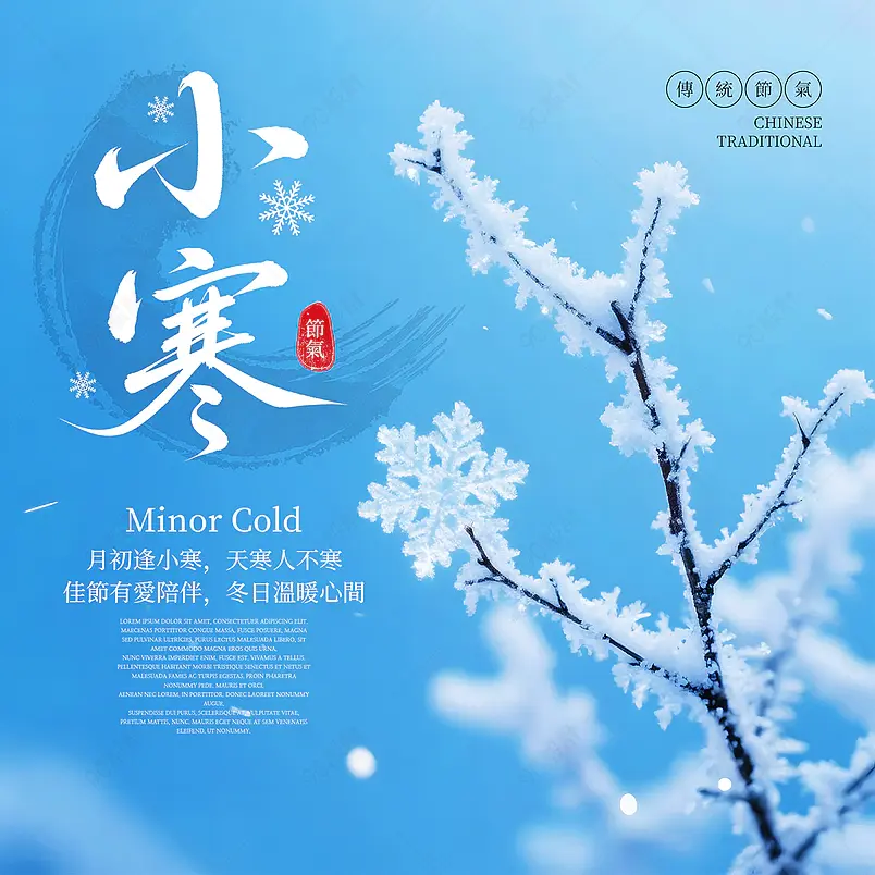 摄影风格树枝雪花积雪传统二十四节气小寒社交媒体广告