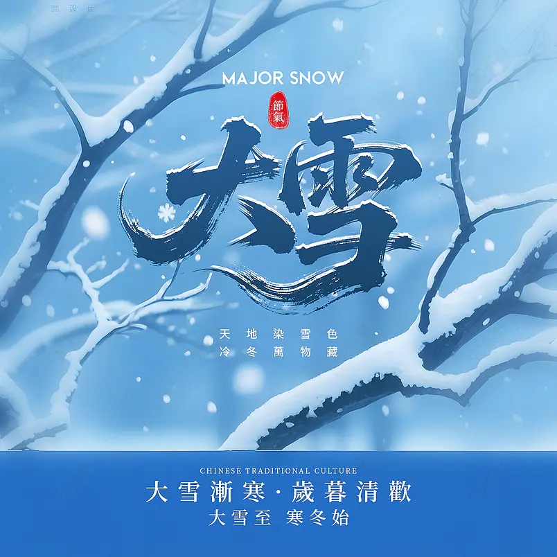 摄影风格树枝雪花传统二十四节气大雪社交媒体广告