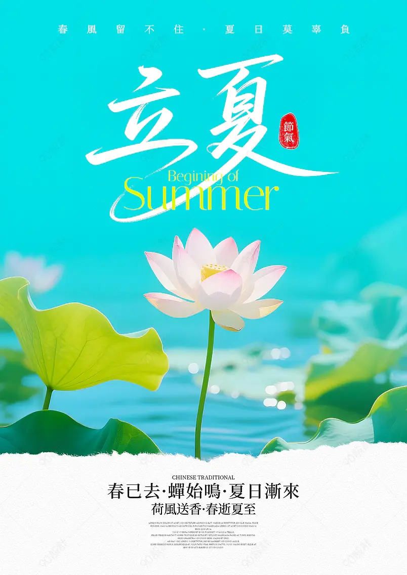 摄影风格荷花荷叶传统二十四节气立夏海报