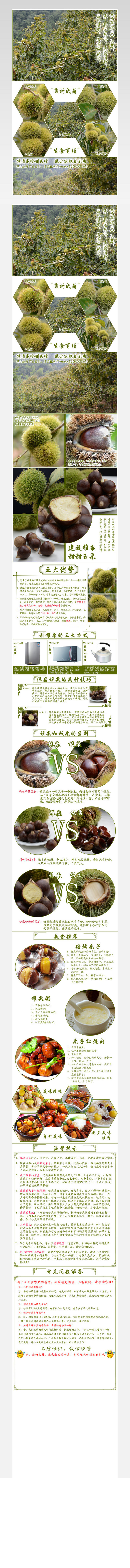 板栗详情