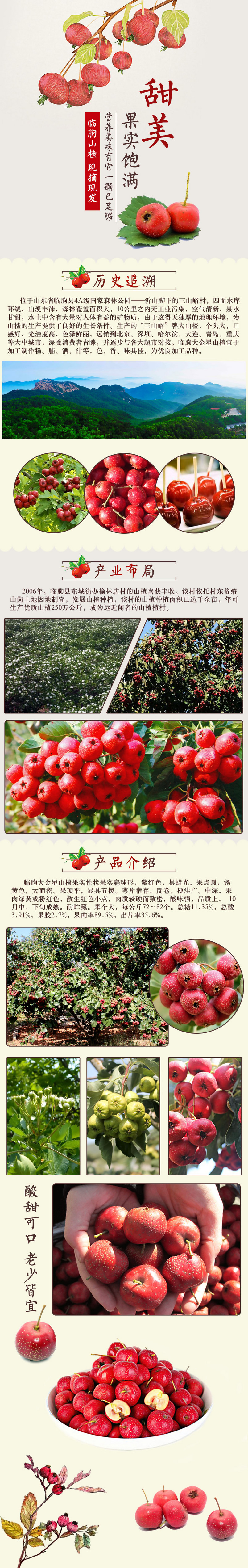 山楂详情页