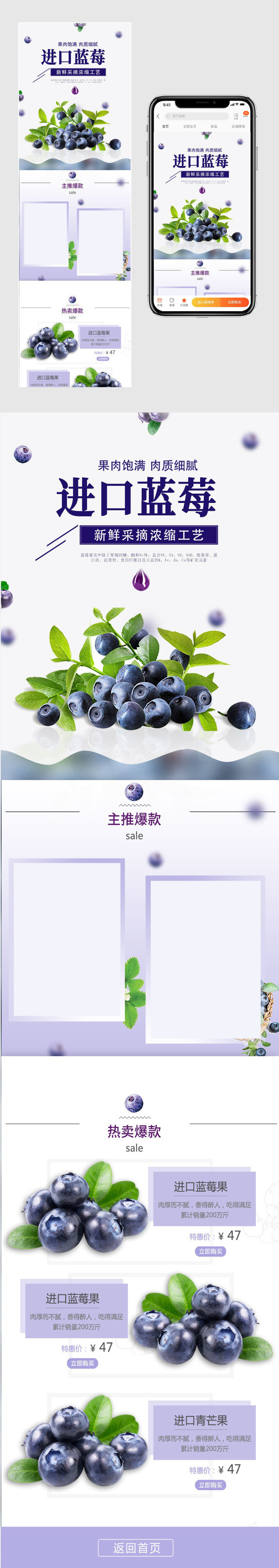  简约水果蓝莓无线端店铺装修描述页  