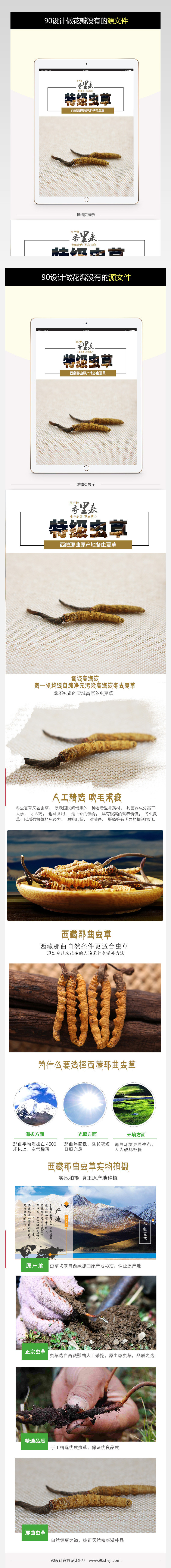 清新简约风虫草药品详情页PSD模版