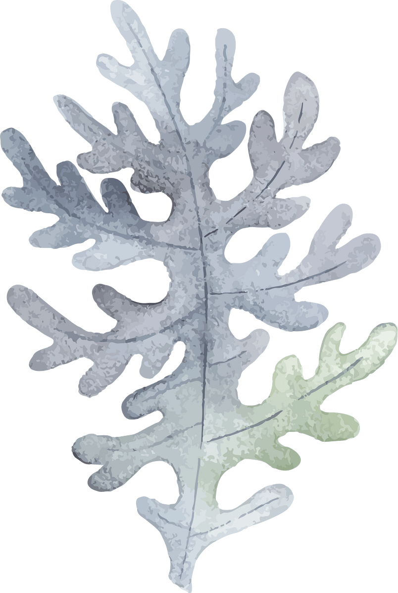 浅色系插画风格ins小清新植物节日素材