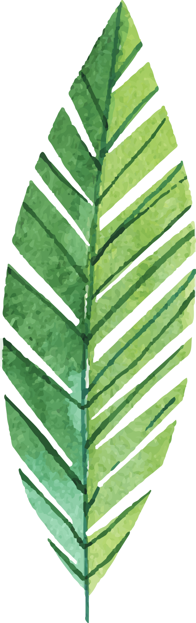 小清新绿色植物手绘插画节日素材免扣