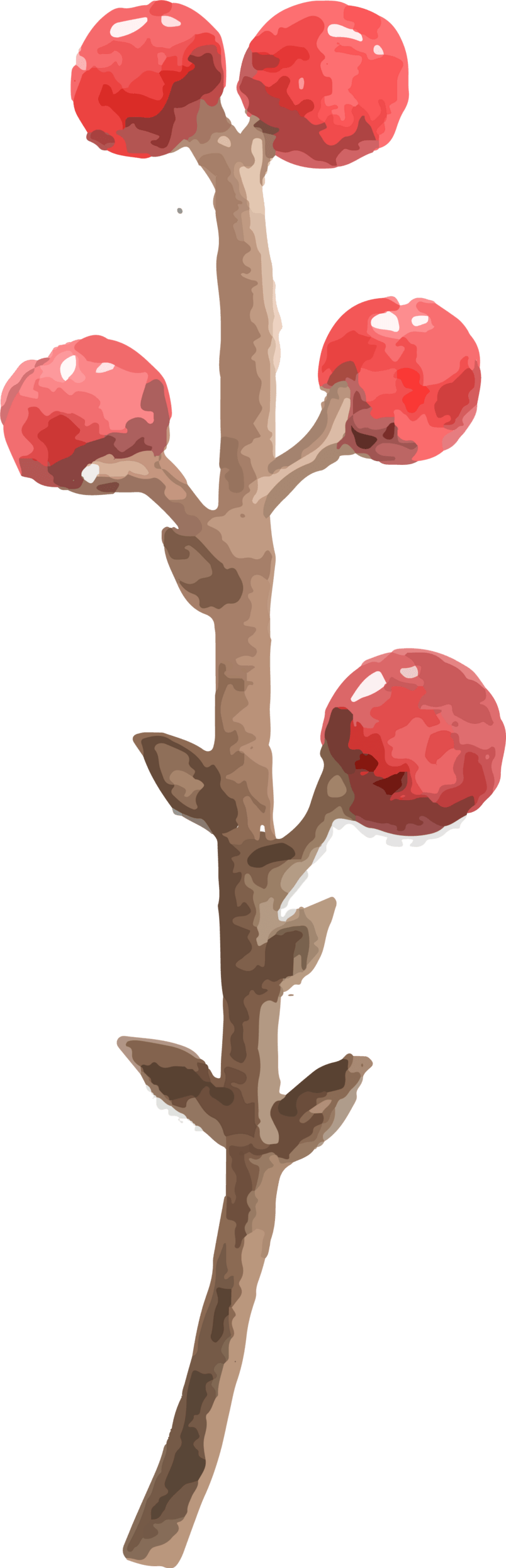 手绘简单插画风格春天植物素材免扣