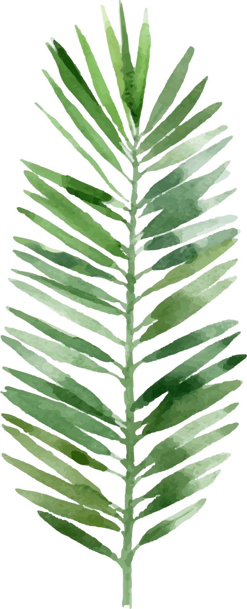 小清新风格春天绿色植物手绘树叶装饰