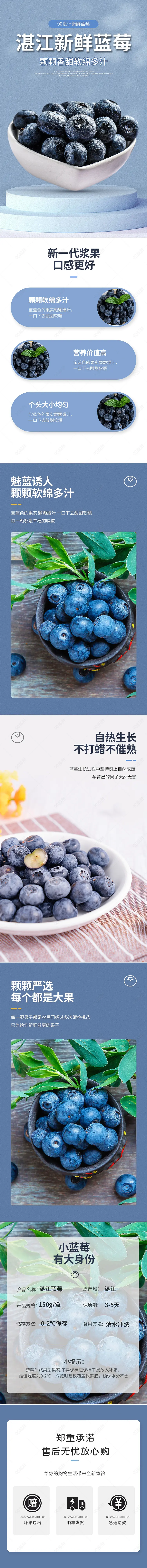 简约风蓝莓详情页淘宝蓝莓水果生鲜详情页