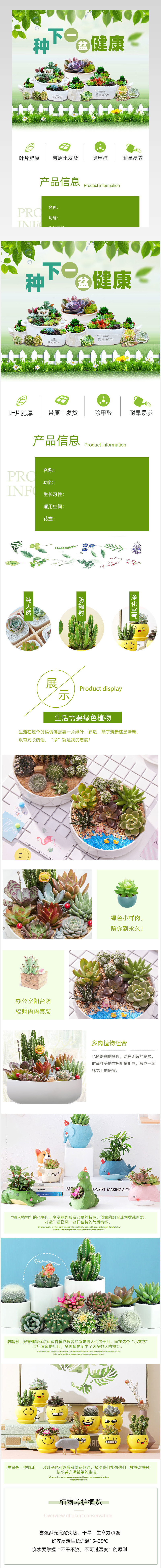 多肉盆栽植物花盆组合肉肉绿植产品详情描述页