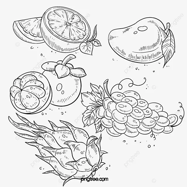 手绘热带水果线描芒果火龙果