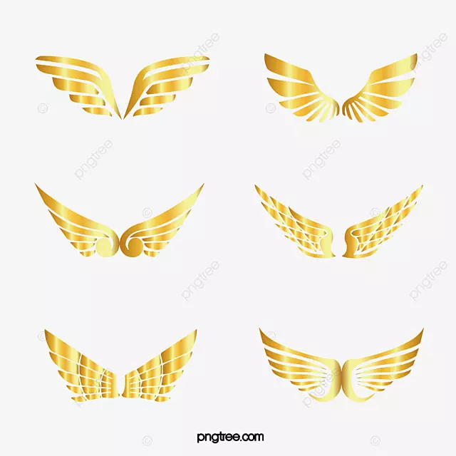 渐变金色翅膀图案组图