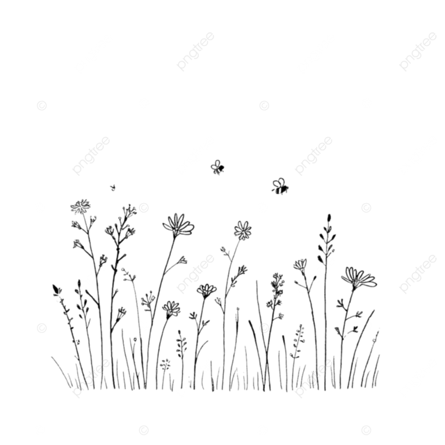 野花 蜜蜂和草的简单线条画