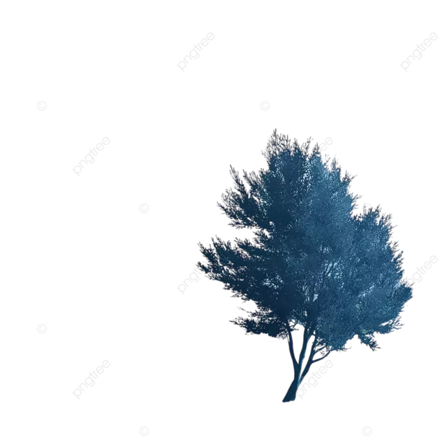 极简主义的宁静景观，高蓝树和滚动的绿色山丘