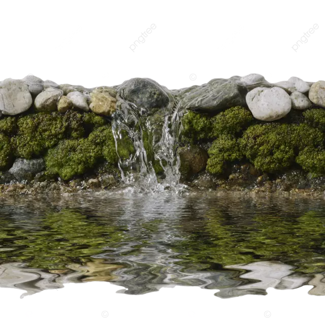 溪流细节，地面特写，水从石头上滴落，白色背景，反射的绿叶