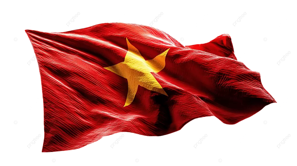 黑色背景上飘扬着越南国旗，上面有一颗黄星