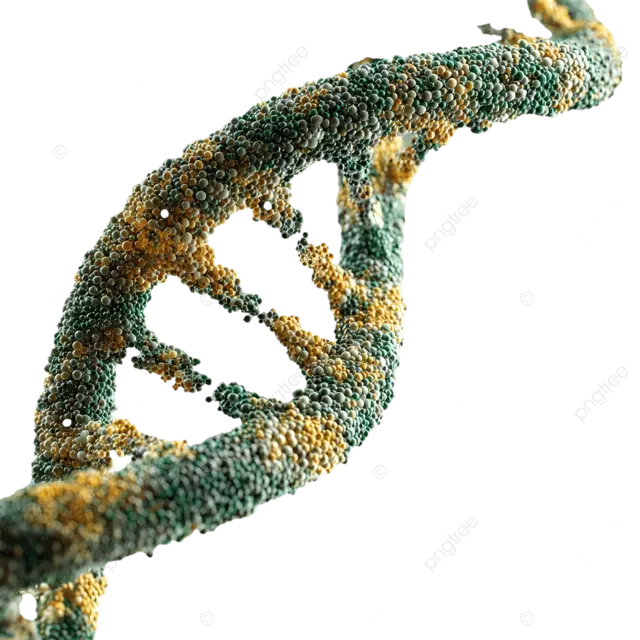逼真的 3D DNA 双螺旋结构，表面纹理呈冷绿色和黄色