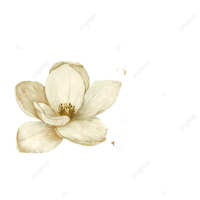 日本木版画，深绿色背景上绘有白色花朵和金色线条。