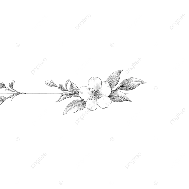 优雅的婚礼装饰，以茉莉花为中心，横向线条艺术