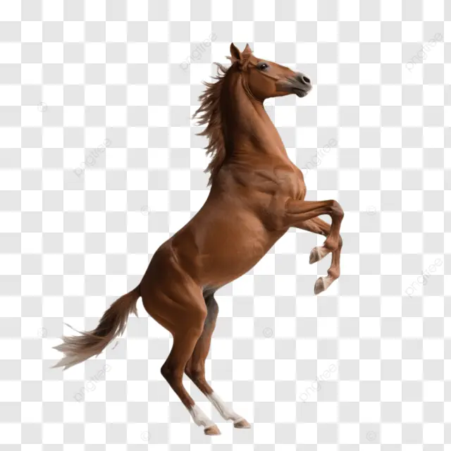 温柔棕马跃起户外卡通风格