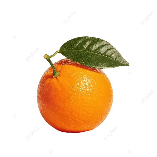 白色背景上的鲜亮橙片，带有绿叶