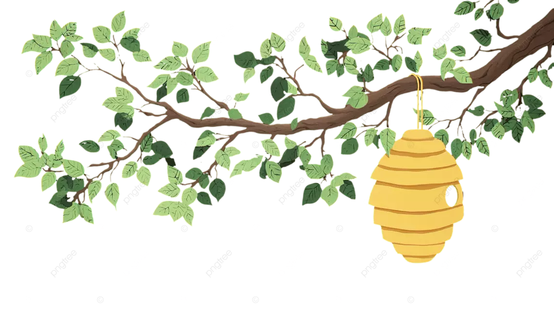 黑色背景中，一个黄色的蜂巢悬挂在一根长着绿叶的树枝上