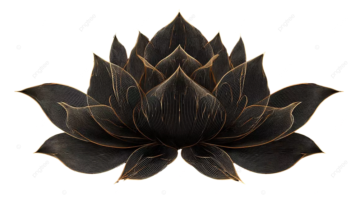 黑色背景上的金色莲花图案，以对称线条勾勒而成