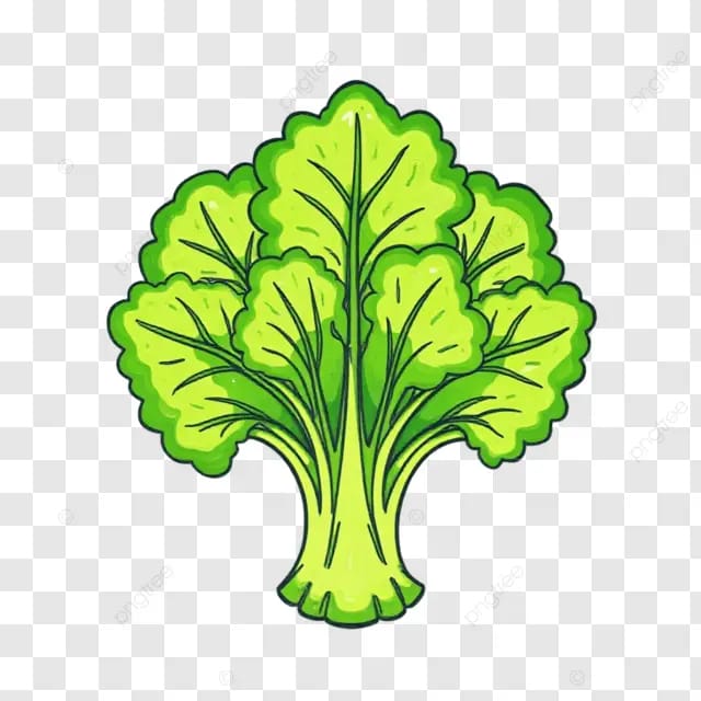 绿叶蔬菜