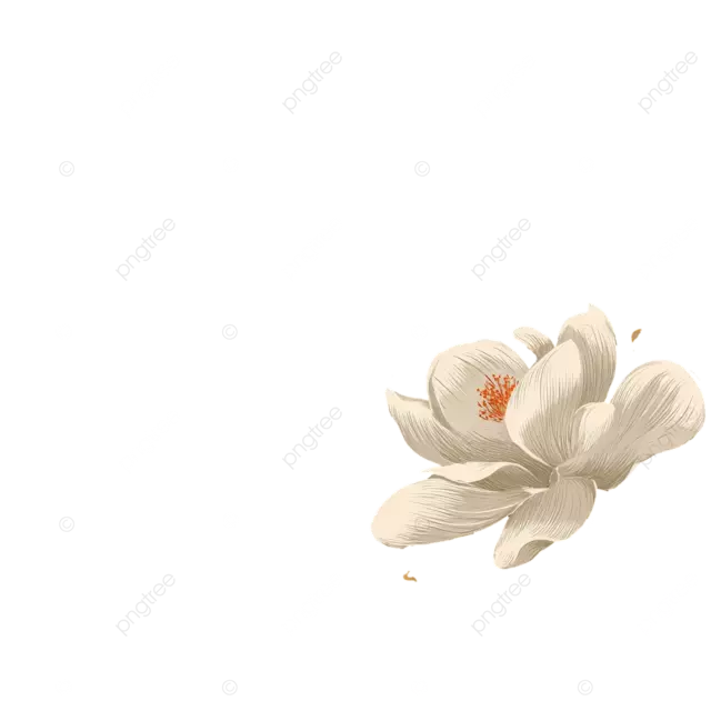 日本木版画，以白色花朵 金色线条和玉兰花为主题。