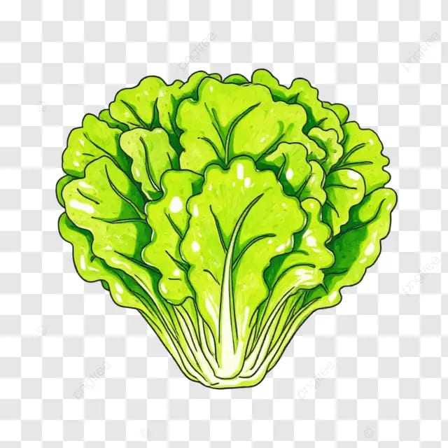 绿叶蔬菜
