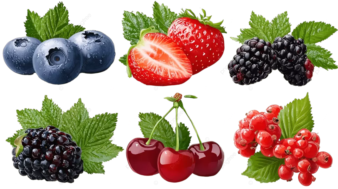 六种带绿叶的水果蓝莓草莓黑醋栗樱桃黑莓红色浆果