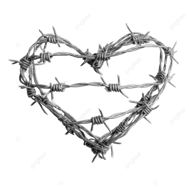 白色背景上的带刺铁丝心形保护着自己