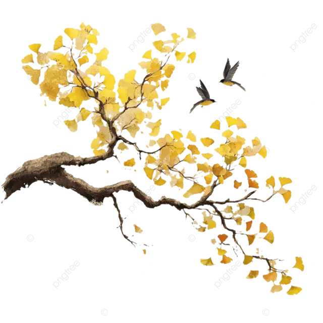 中国水墨银杏树飞鸟水彩插画