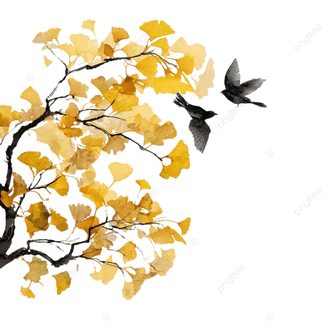 中国传统绘画银杏树鸟儿飞翔黄叶简约水墨水彩