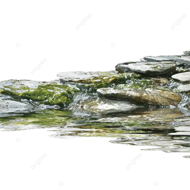 溪流细节，地面特写，水从石头上滴落，白色背景，反射的绿叶