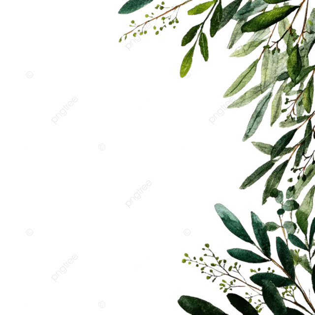 微小的水彩绿叶边框孤立的白色背景