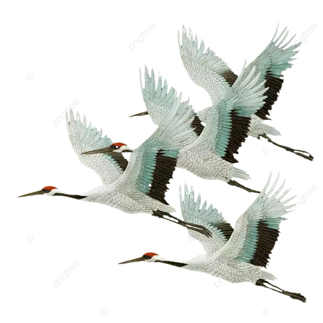 白色起重机在天空中飞行日本动画风格深绿色背景精致的刷子细节细节精美的羽毛纹理阴影效果鸟类眼睛视图对称布局