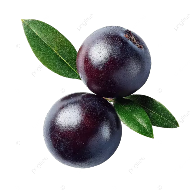 白色哑光表面上带有绿叶的新鲜巴西莓，工作室拍摄微距镜头