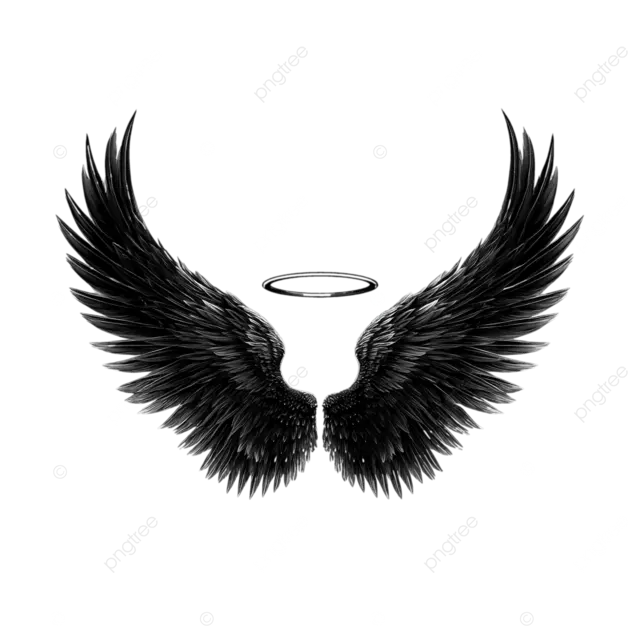 简单的黑色天使翅膀与光环矢量 png