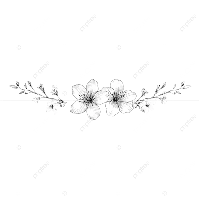 茉莉花横向分割线艺术，优雅的婚礼装饰