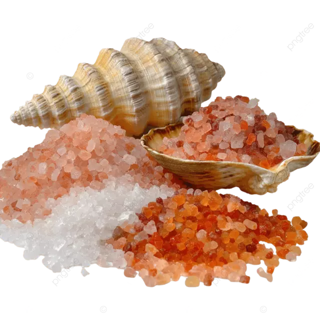 带有贝壳和彩色盐晶体的戏剧性黑色背景